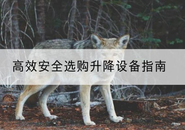 乾县升降货梯厂家推荐-*安全选购升降设备指南