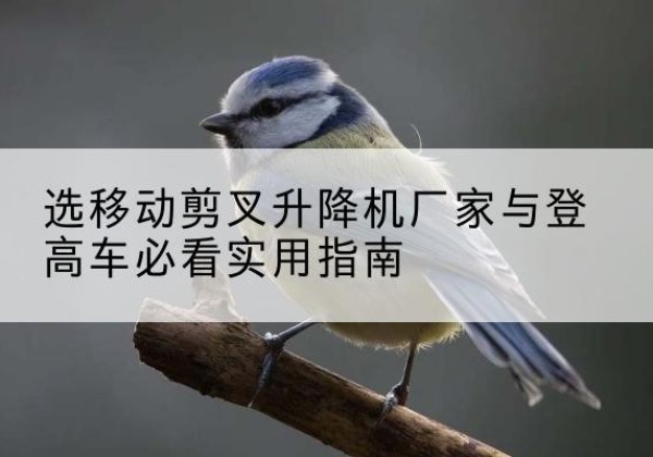 乾县电动升降机厂家-选移动剪叉升降机厂家与登高车必看实用指南